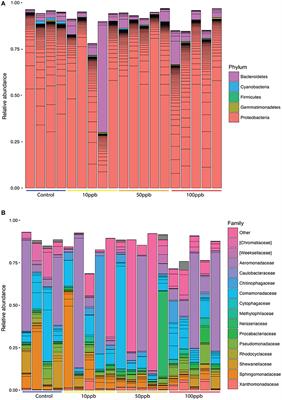 Exposure to Arsenic Alters the Microbiome of Larval Zebrafish